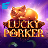 Lucky-Porker